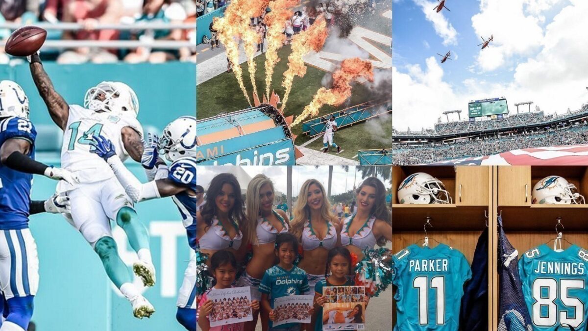 Exclusivo: Quinto Quarto visita Dolphins e tenta &lsquo;entender&rsquo; torcida