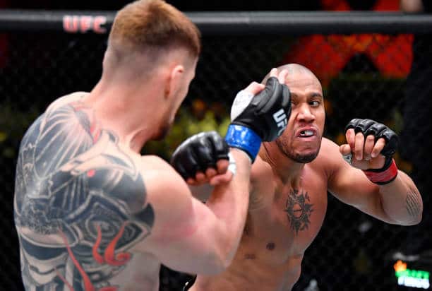 Description de l'image