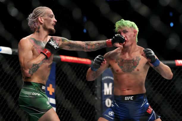 Sean O&rsquo;Malley x Kris Moutinho como aconteceu &ndash; resultado, destaques e rea&ccedil;&atilde;o