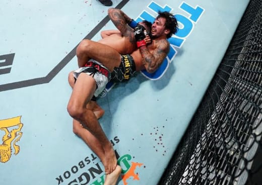 Alexandre Pantoja x Brandon Royval como aconteceu &ndash; resultado, destaques e rea&ccedil;&atilde;o