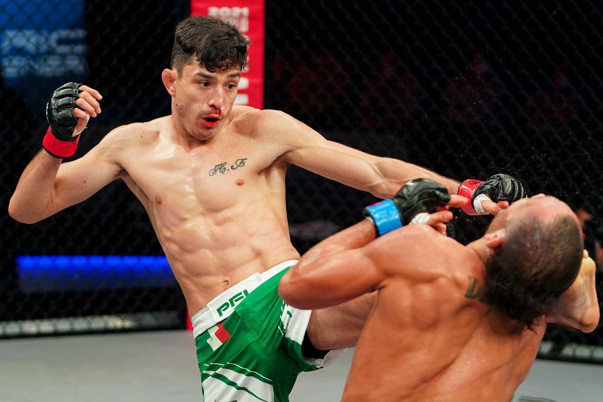 Description de l'image