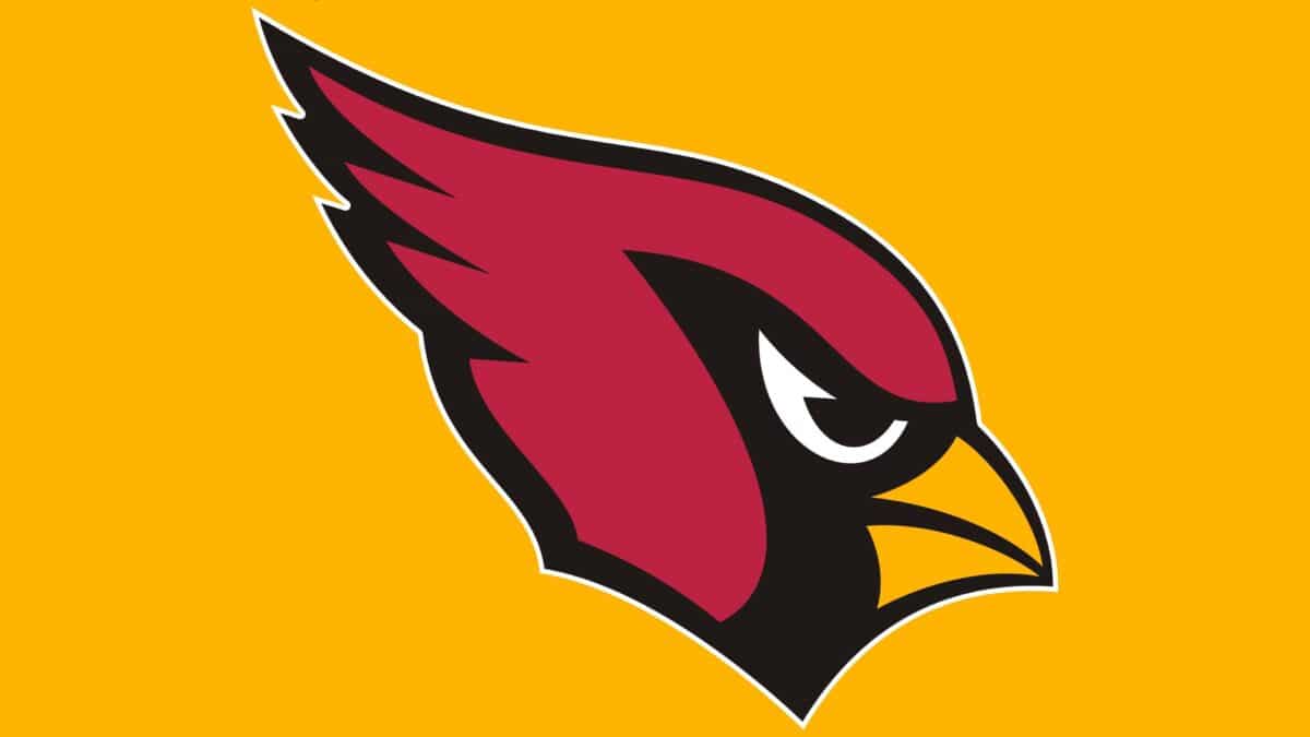 Arizona Cardinals &ndash; Jogadores, escala&ccedil;&atilde;o, chart e news