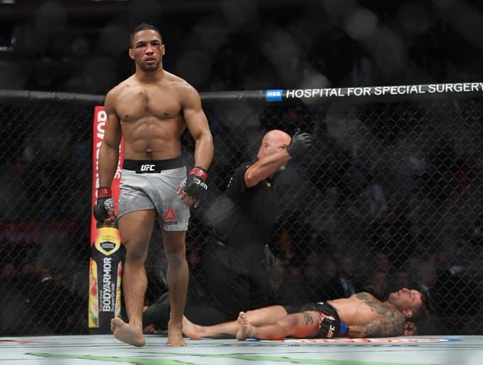 Description de l'image