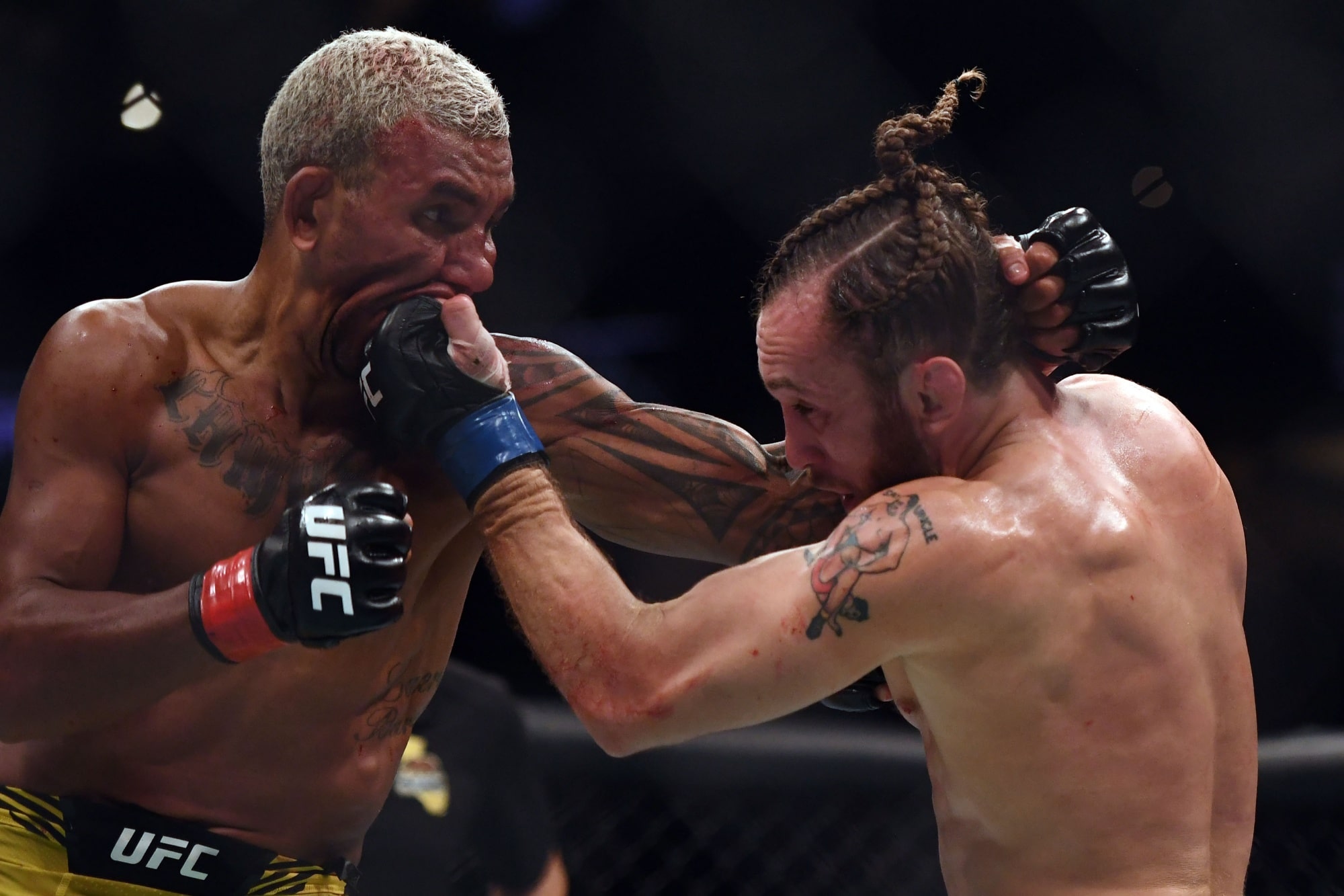 Description de l'image