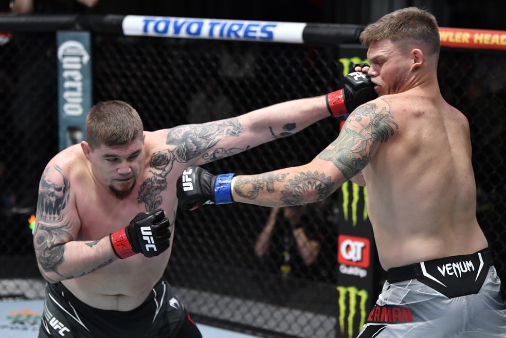 Description de l'image