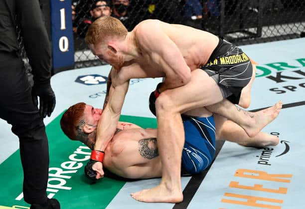 Jack della Maddalena x Pete Rodriguez como aconteceu – Resultado, destaque e reação