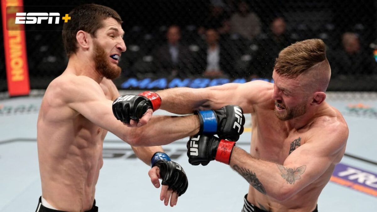 Tim Elliott x Tagir Ulanbekov como aconteceu &ndash; Resultado, destaques e rea&ccedil;&atilde;o