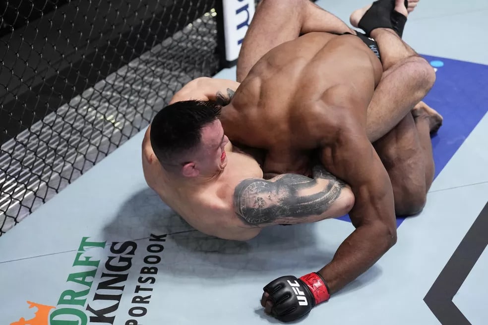 Description de l'image