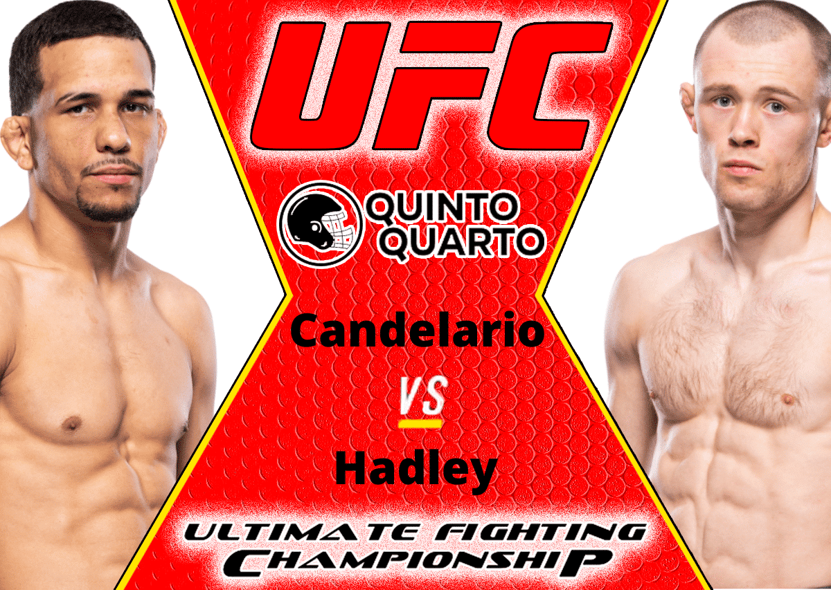 Carlos Candelario x Jake Hadley &ndash; Dica, palpite e progn&oacute;stico &ndash; 05/11