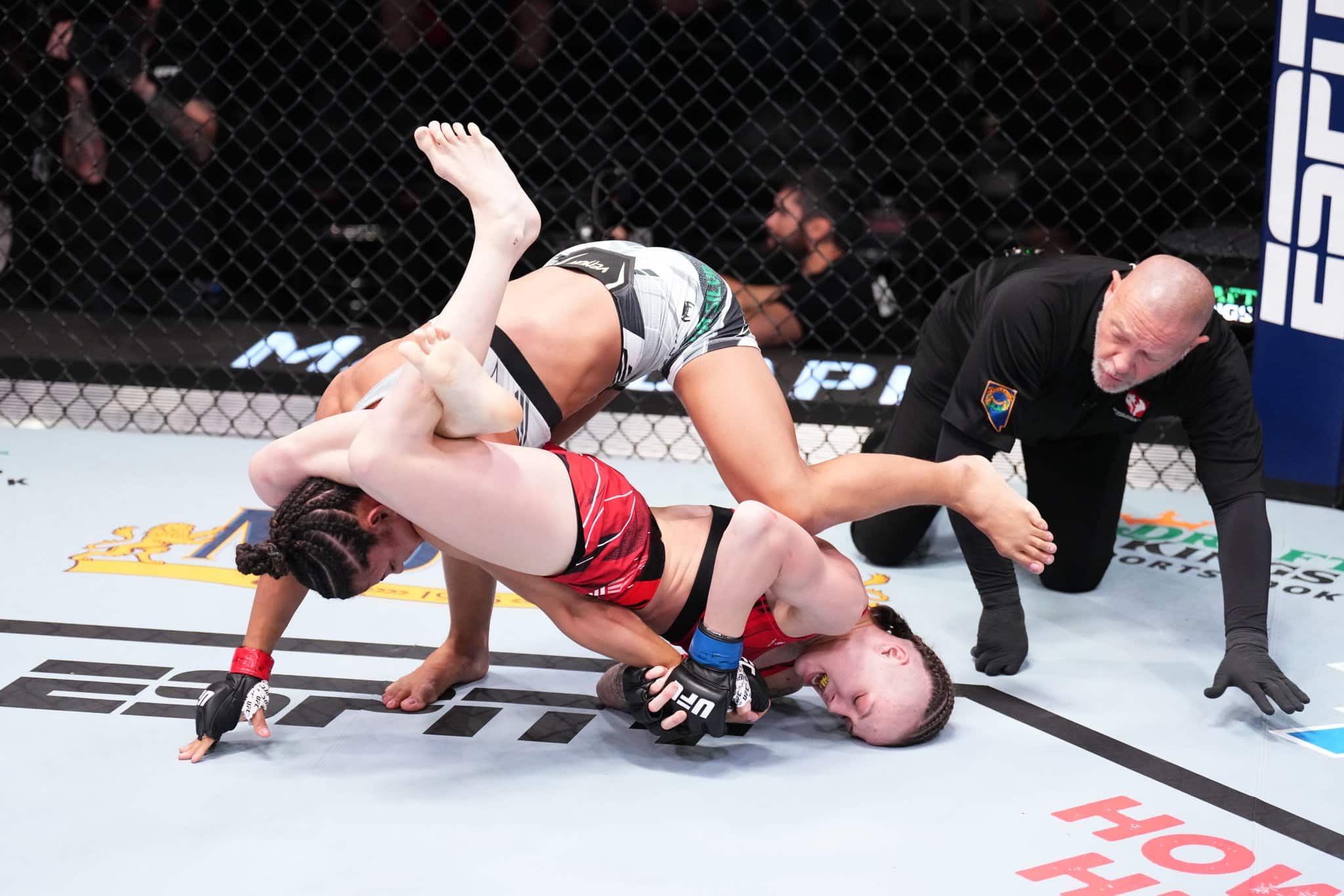 Description de l'image