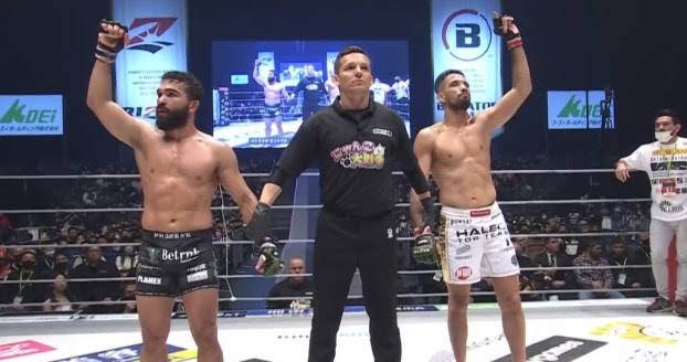 Description de l'image