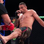 Dirigente da PFL frustra Werdum e bate o martelo sobre futuro de Ngannou