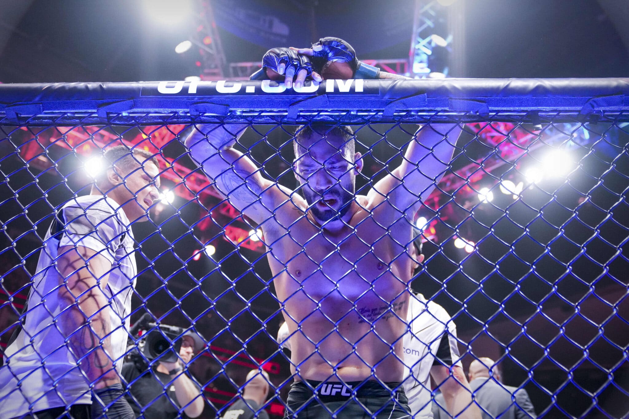 Description de l'image