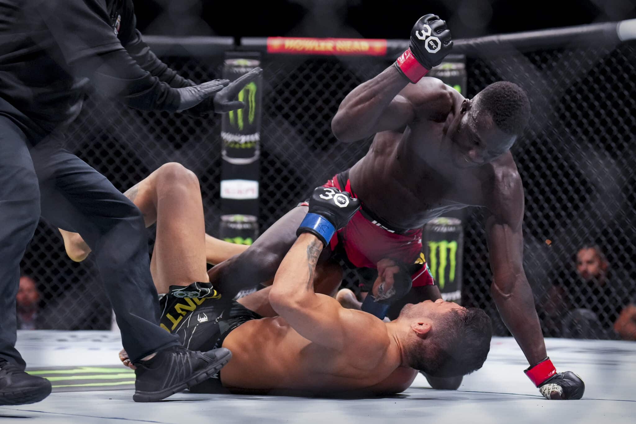 Description de l'image