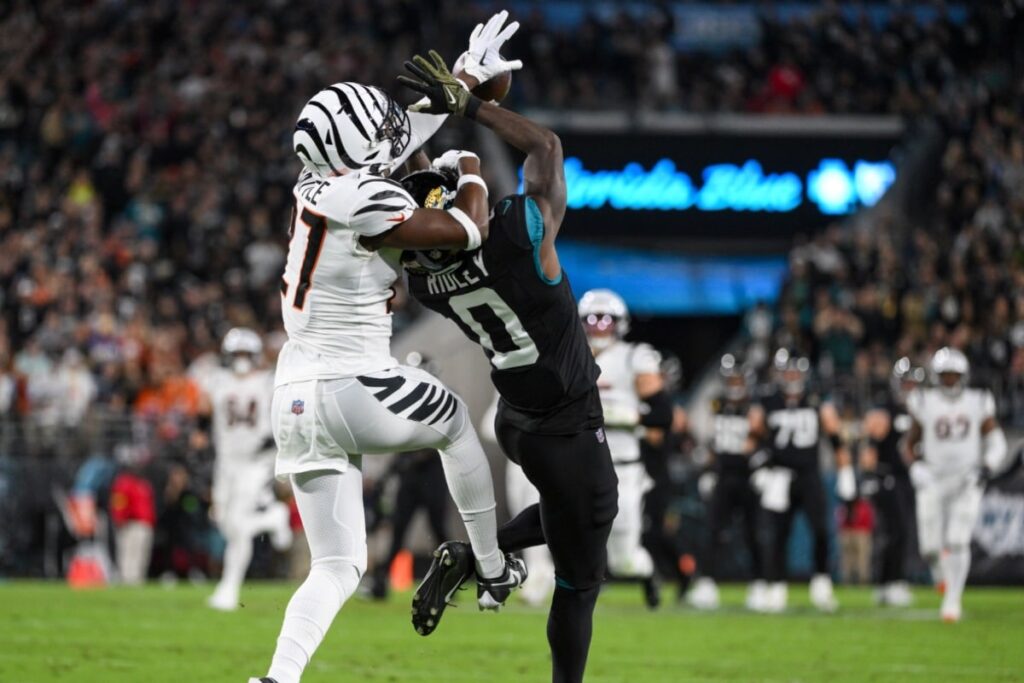 NFL: Novato dos Jaguars anota touchdown improv&aacute;vel